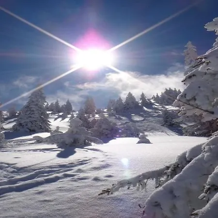 Lejlighed Alpine By Managers *