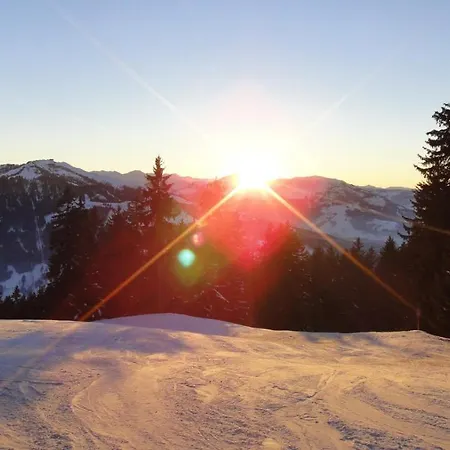 Alpine By Managers Daire *